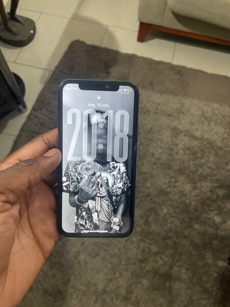 iPhone 11 Pro  Gris