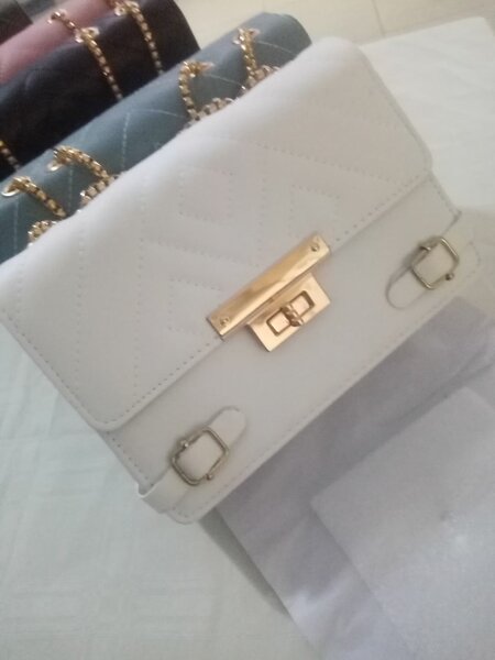 Sac à main chaîne élégante