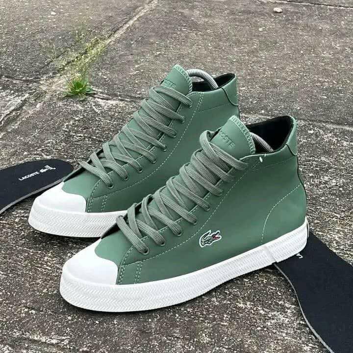 Lacoste Montante