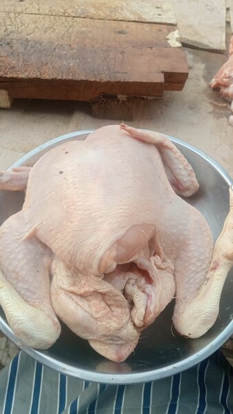Poulet entier frais