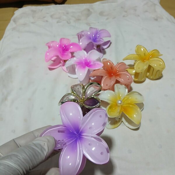 Pinces à cheveux fleurs colorées