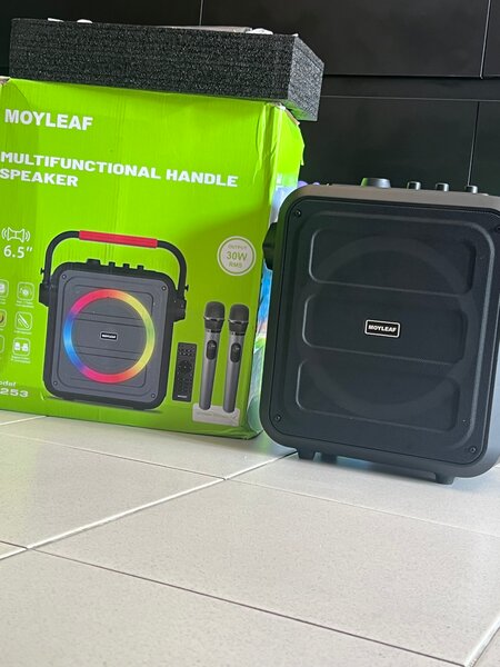 Enceinte portable Moyleaf 30W