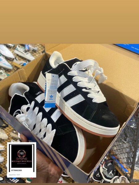 Baskets Adidas campus authent