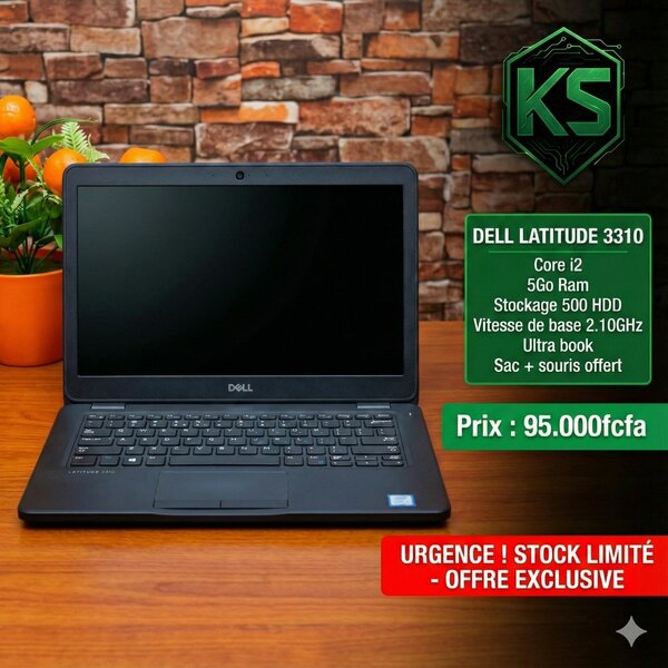 Dell Latitude 3310 Ultrabook