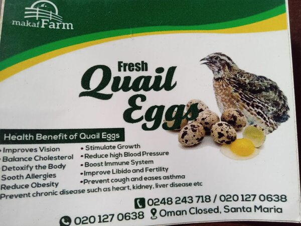 Quail Eggs