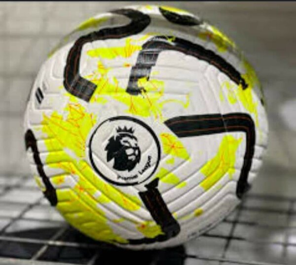 Ballon foot pro en cuire 024