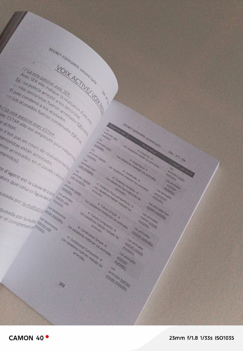 Livre Apprentissage Espagnol Lycée