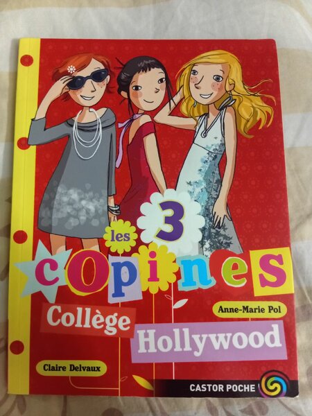 Livre Les 3 Copines