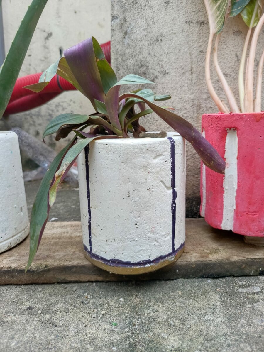 Pots de fleurs en béton décoratif