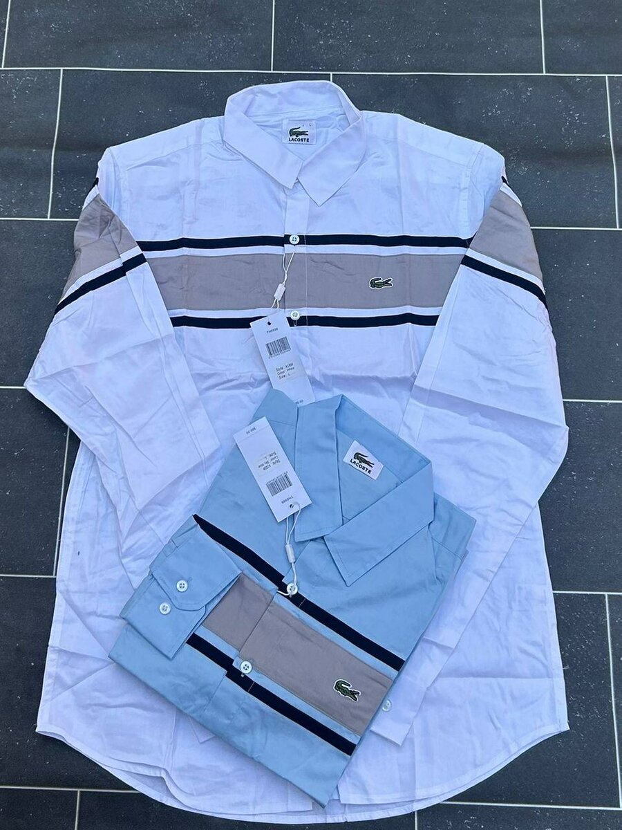 Chemise homme élégante multicolore