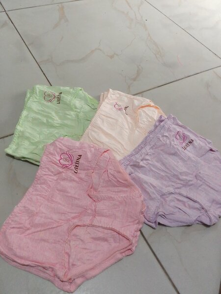 Lot de Culottes Coton Femme