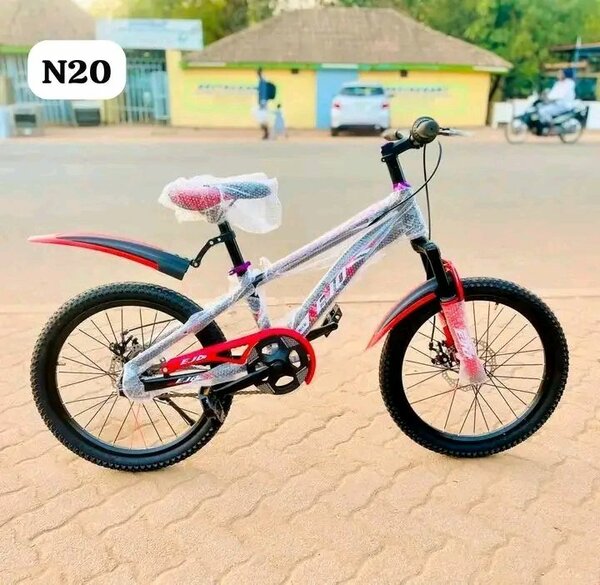 Vélo Enfant 20 Pouces