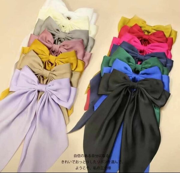 Grand Nœud Papillon Coloré