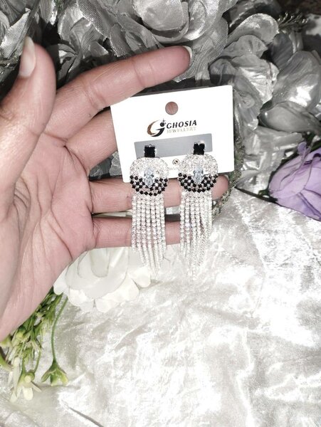 Shinny Tassel Earring Long Trendy Earring