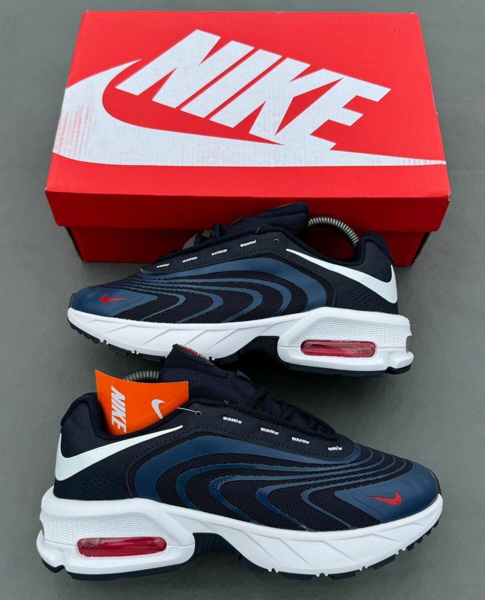 Baskets Nike Air Max Homme