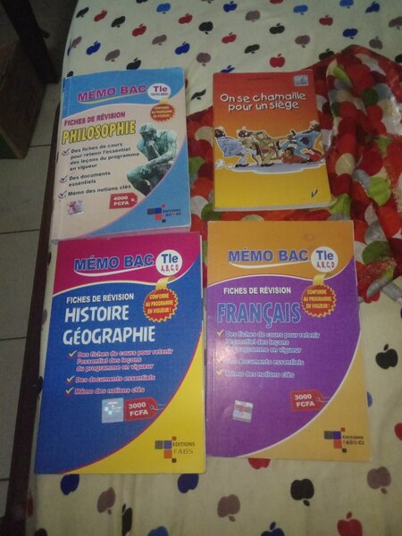 Lot de manuels scolaires Terminale
