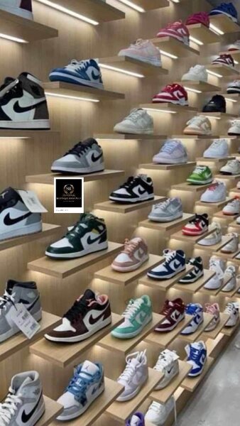 Basket NIKE SB authentique