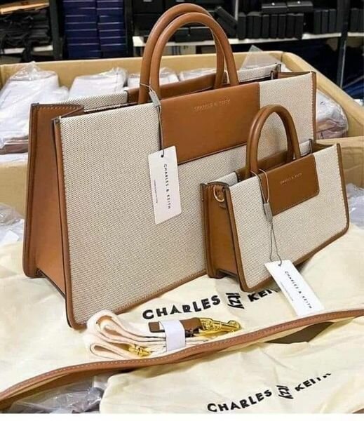 Sac Charles & Keith 