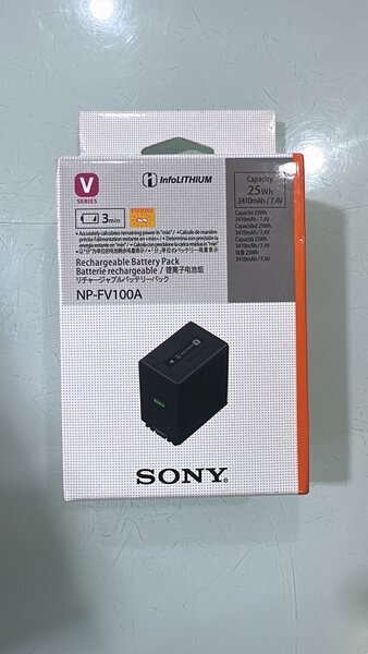 Batterie rechargeable Sony NP-FV100A