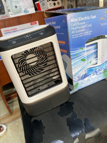 Mini Electric Cooler