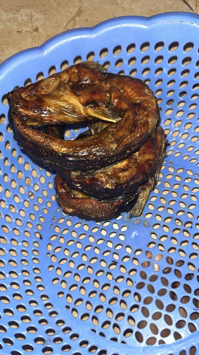 Oven Dried Catfish
