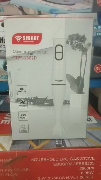 MIXEUR PLONGENT 250 W