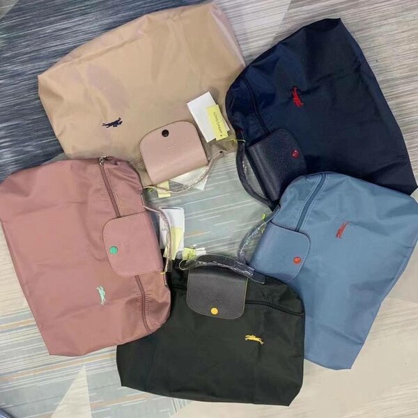 Sac Stylé Pliable et Léger