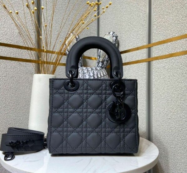 Sac à main Dior luxueux