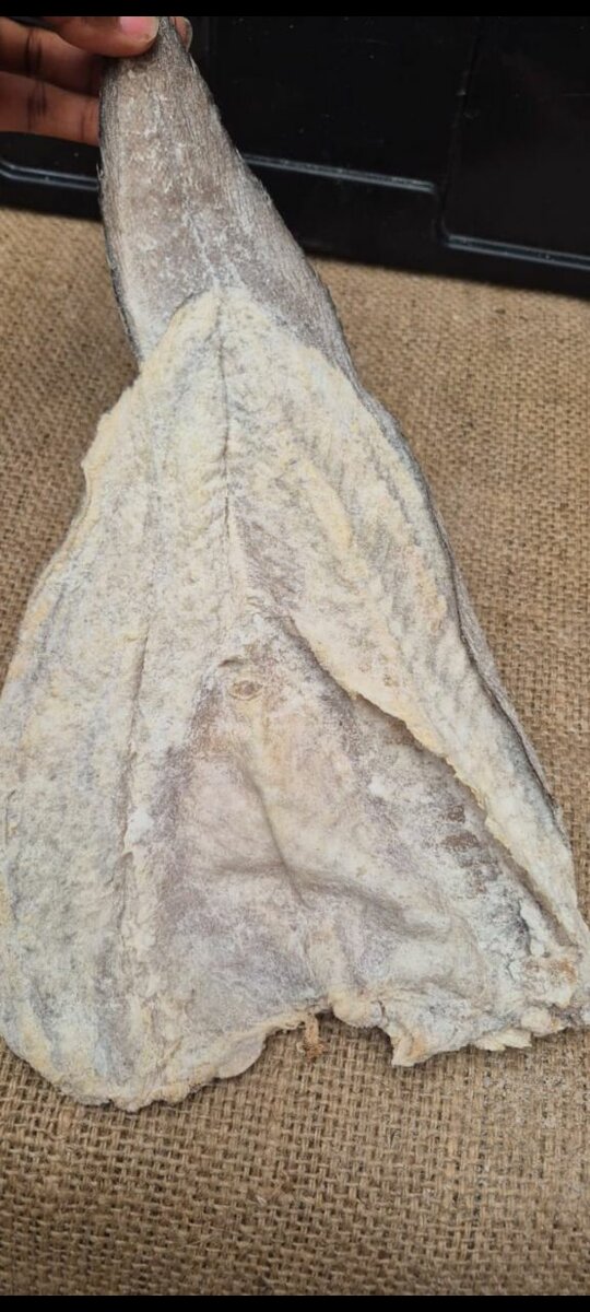 Lotte Salée qualité supérieure