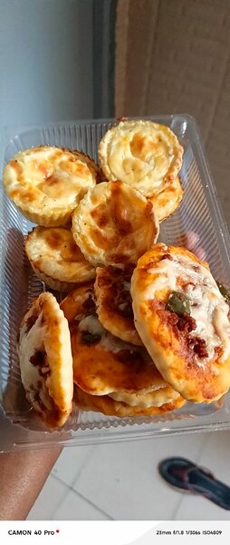 Mini quiches  et mini pizzas
