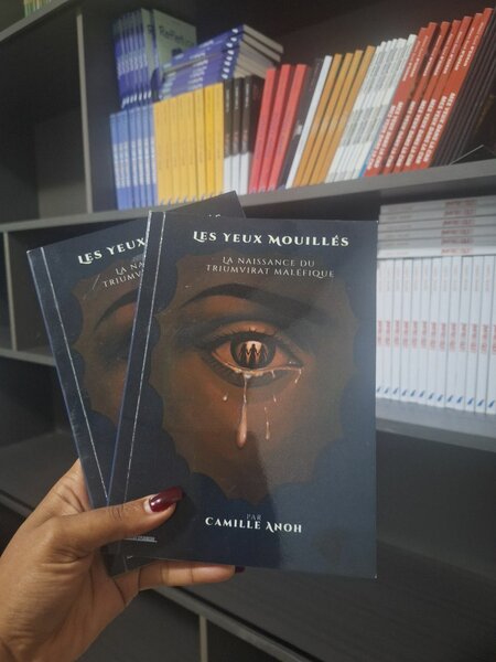 Les Yeux Mouillés Novel