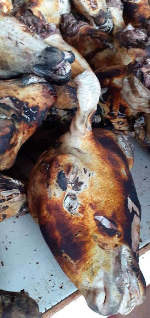 Une tete de mouton et les 4 pa