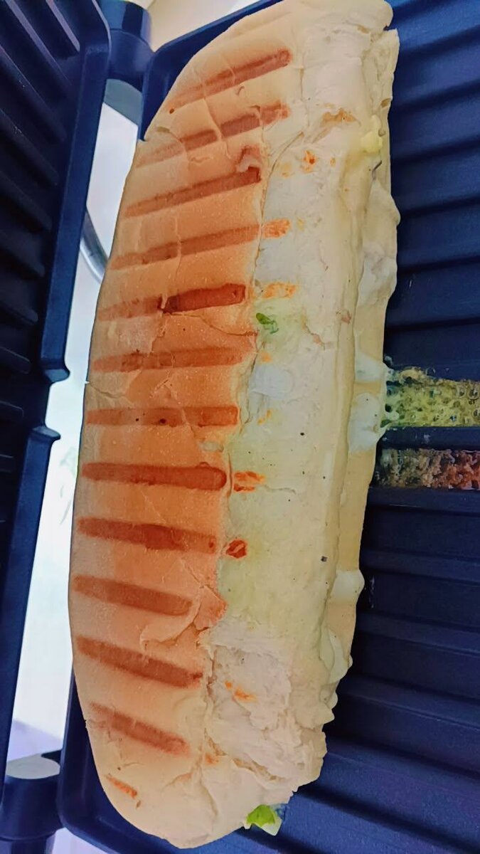 Panini et chawarma savoureux