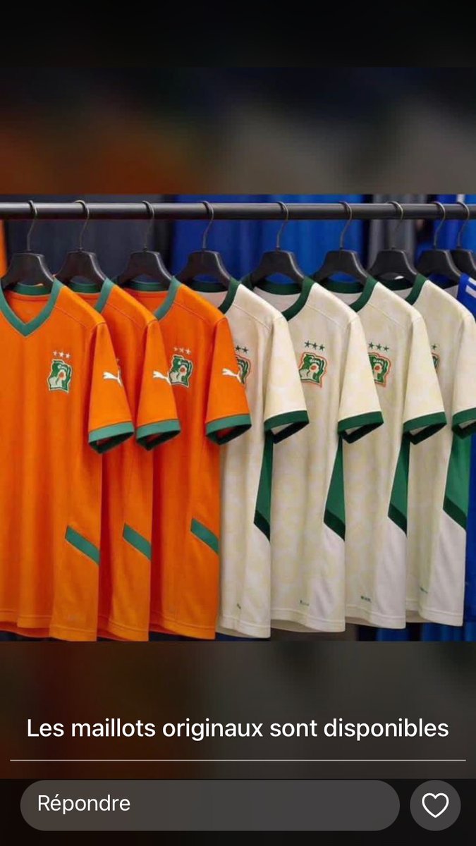 Maillot Équipe Football Puma