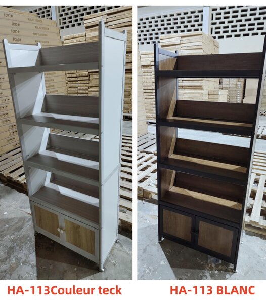 Modern Metal Frame shoe