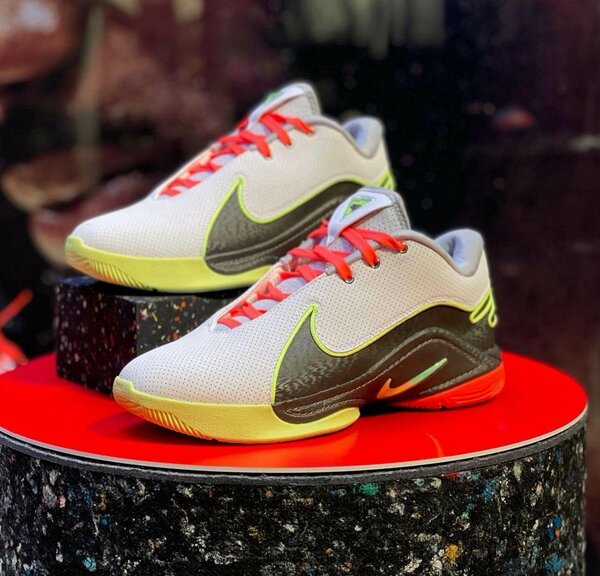 BASKETBALL LEBRON 22