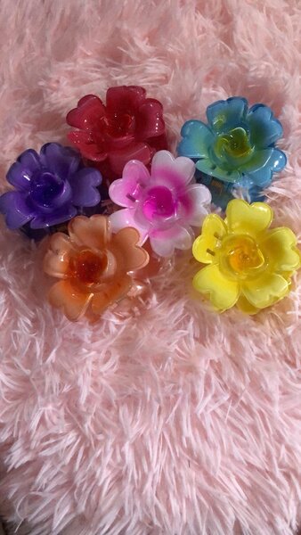 Pinces à cheveux fleurs colorées