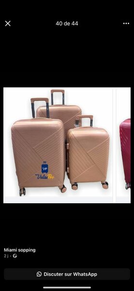 Valise en gomme original