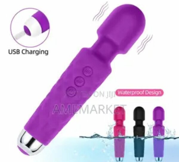 Vibrator