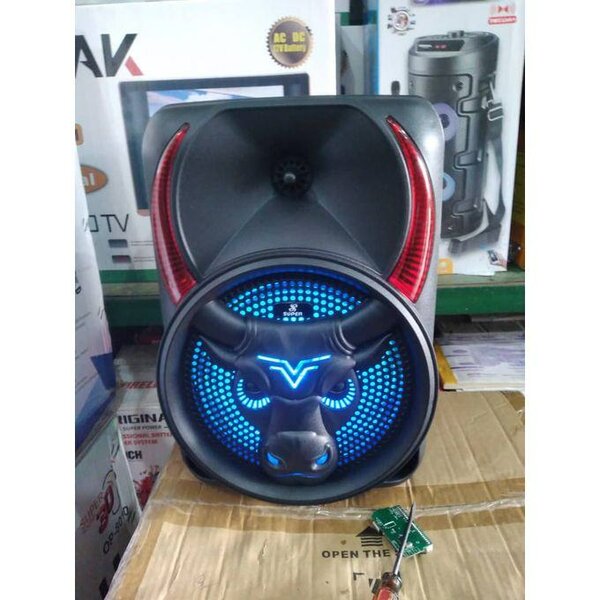 Enceinte Karaoké Sans Fil 1500W