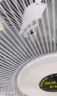 solar fan