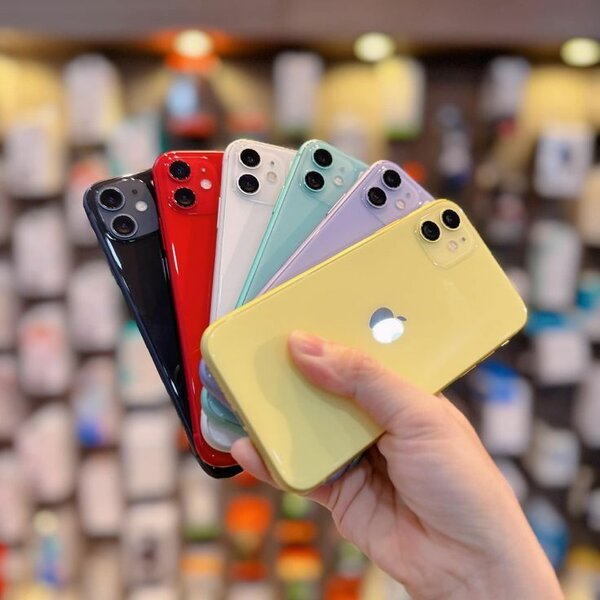 iPhone 11 - Variété de Couleurs