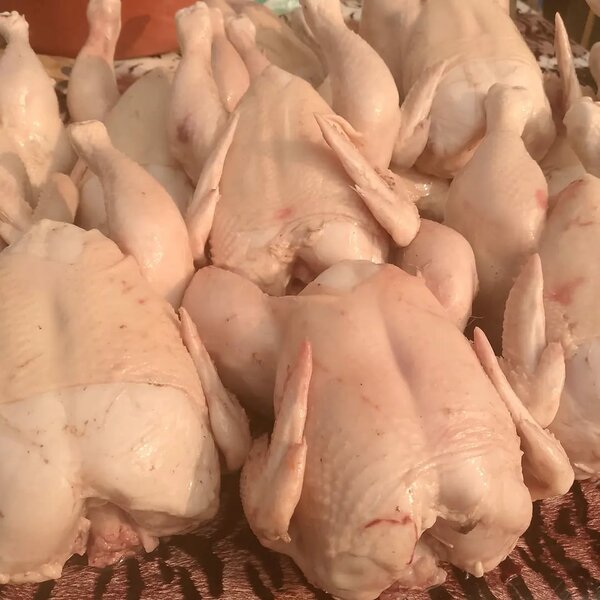 Poulet entier frais prêt à cuire