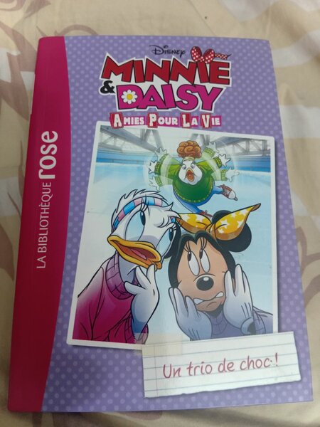 Livre Minnie & Daisy Amies