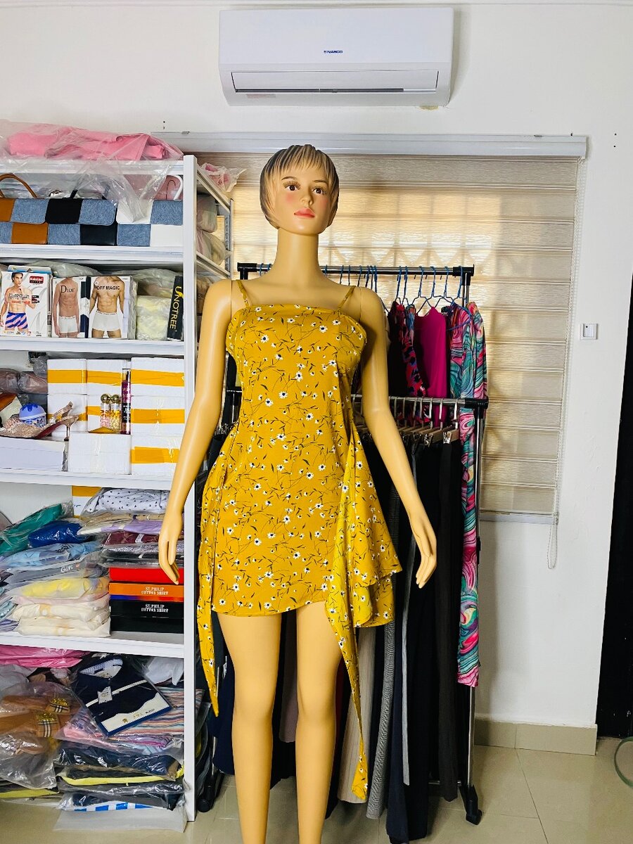 Ladies dress