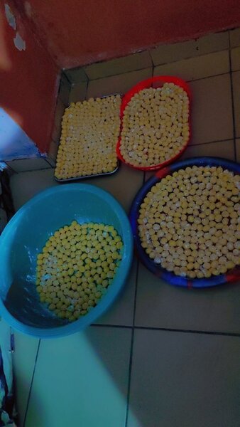 Boules de Neige Savoureuses