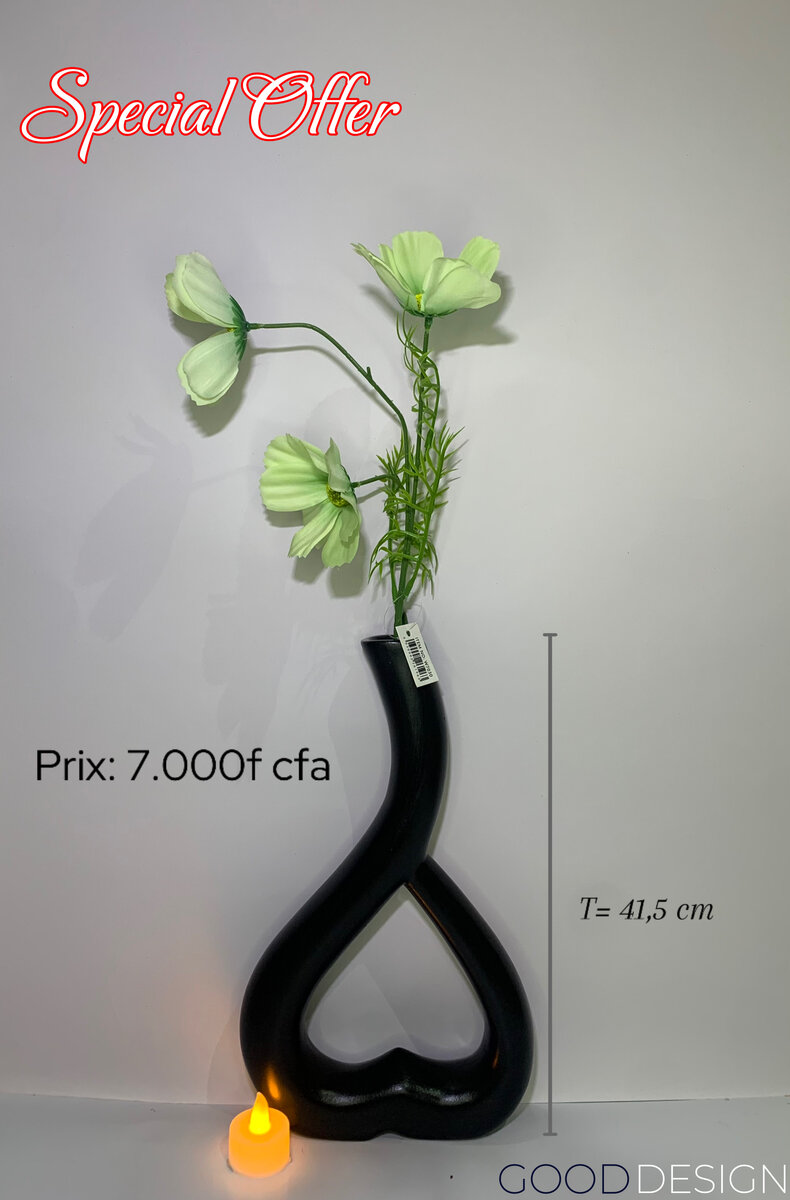 Vases décoratifs modernes