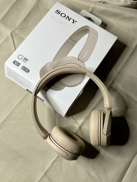 Casque sans fil Sony WH-CH520