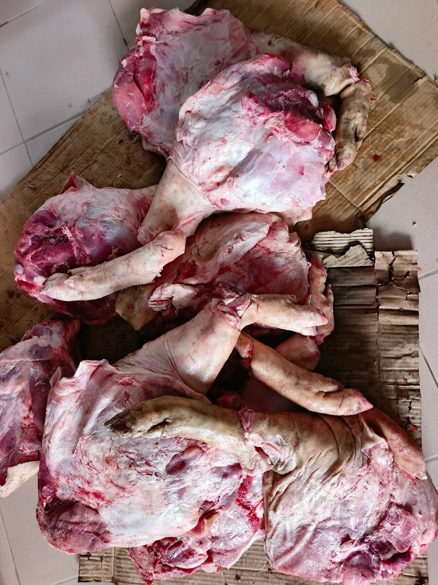 Viande de Porc Fraîche