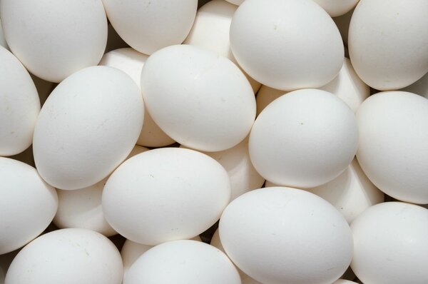 Eggs